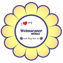 Amo mi Weimaraner me mezclo (los perros múltiples) Escultura Fotográfica