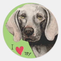 Amo mi Weimaraner Pegatinas
