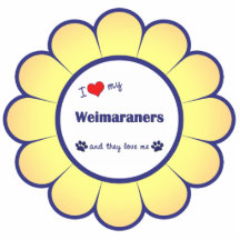 Amo mi Weimaraners (los perros múltiples) Escultura Fotografica
