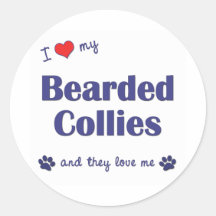 Amo mis collies barbudos (los perros múltiples) pegatinas redondas