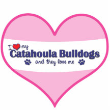 Amo mis dogos de Catahoula (los perros múltiples) Escultura Fotográfica