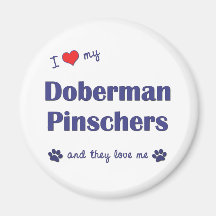 Amo mis Pinschers del Doberman (los perros múltipl Iman Para Frigorífico