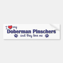Amo mis Pinschers del Doberman (los perros múltipl Pegatina De Parachoque