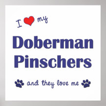 Amo mis Pinschers del Doberman (los perros múltipl Poster