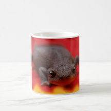 Amo Newts Taza De Café
