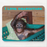 Amo orangutanes tapete de ratón
