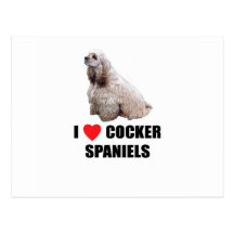 Amo perros de aguas de cocker postal