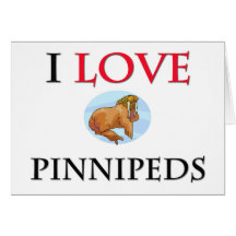 Amo Pinnipeds Felicitacion
