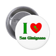 Amo San Gimignano Italia Pin