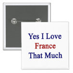 Amo sí Francia que mucho Pin