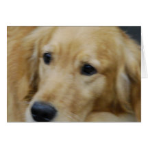 Amo tarjetas de felicitación de Goldens