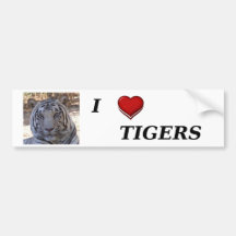 Amo tigres pegatina de parachoque