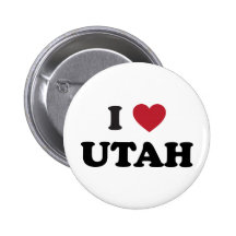 Amo Utah Pin