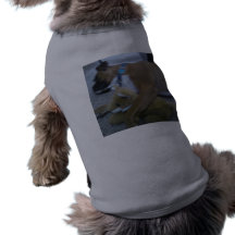 amor adolescente camisetas mascota