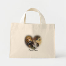 Amor, amor adolescente bolsas de mano