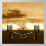 Amor Birds_Poster