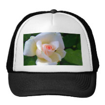 Amor blando subió gorra