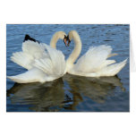 Amor Chaperoned del corazón del cisne Tarjeton