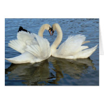 Amor Chaperoned del corazón del cisne Tarjeton