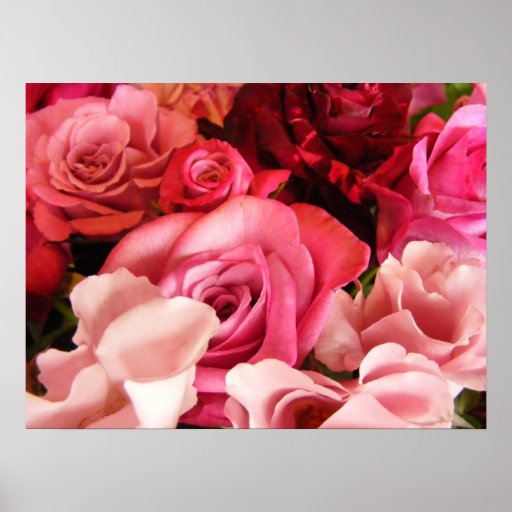 Amor color de rosa impresiones