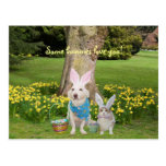 ¡Amor de algunos conejitos usted! Tarjetas Postales