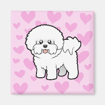 Amor de Bichon Frise Imanes