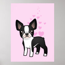 Amor de Boston Terrier Poster