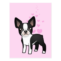 Amor de Boston Terrier Tarjeta Postal