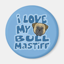 Amor de Kawaii I mi Bullmastiff Iman