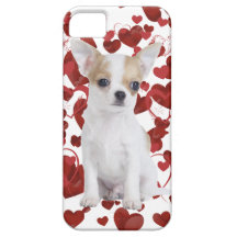 Amor de la chihuahua iPhone 5 fundas