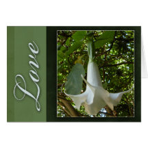 Amor de la flor blanca tarjeton