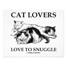 Amor de los amantes del gato a snuggle comunicado
