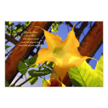 Amor del 6:5 de Deuteronomy el señor Your God Impresiones Fotograficas