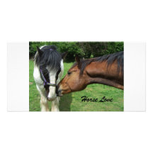 Amor del caballo tarjeta fotografica personalizada
