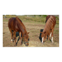 Amor del caballo tarjetas de visita