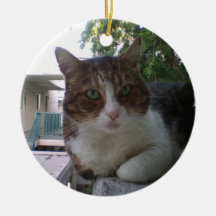 Amor del gatito adornos