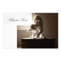 Amor del gato de Sphynx Papeleria De Diseño