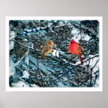 Amor del invierno, poster
