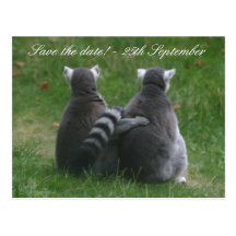 ¡Amor del Lemur! ¡… Reserva la fecha! Tarjeta Postal