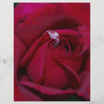 Amor del rosa rojo y el significar flyer personalizado