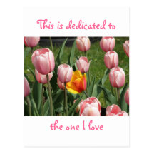 Amor en los tulipanes postal