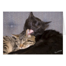 Amor fraternal felicitación