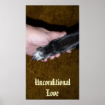 Amor incondicional posters