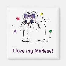 ¡Amor maltés! Imán De Nevera