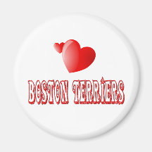 Amor para los terrieres de Boston Imán Para Frigorifico