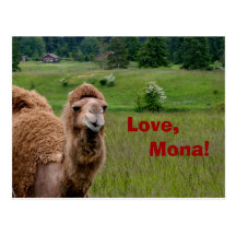 Amor, postal de Mona