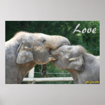 Amor Poster