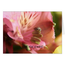 AMOR rosado de la flor del Alstroemeria que USTED  Tarjetas