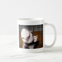 Amor sin pelo de la rata tazas de café