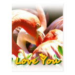 Amor You_ Postal